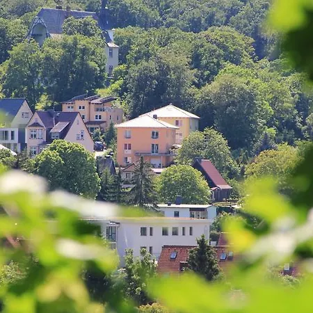 Vis-a-vis Wernigerode