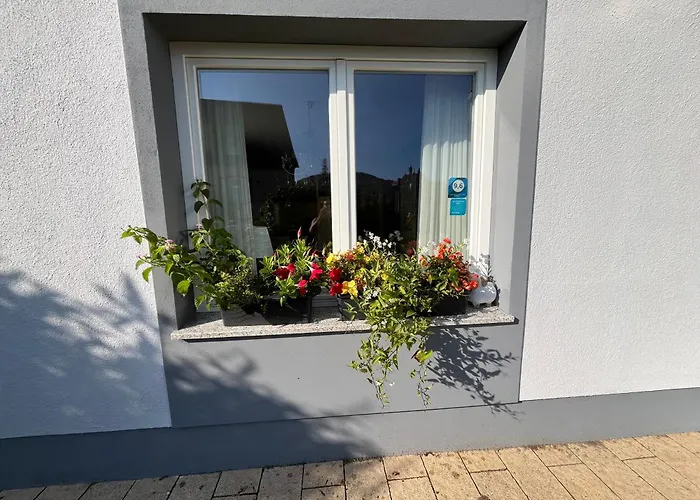 Vis-a-vis דירה *